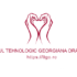 LICEUL TEHNOLOGIC GEORGIANA ORADEA